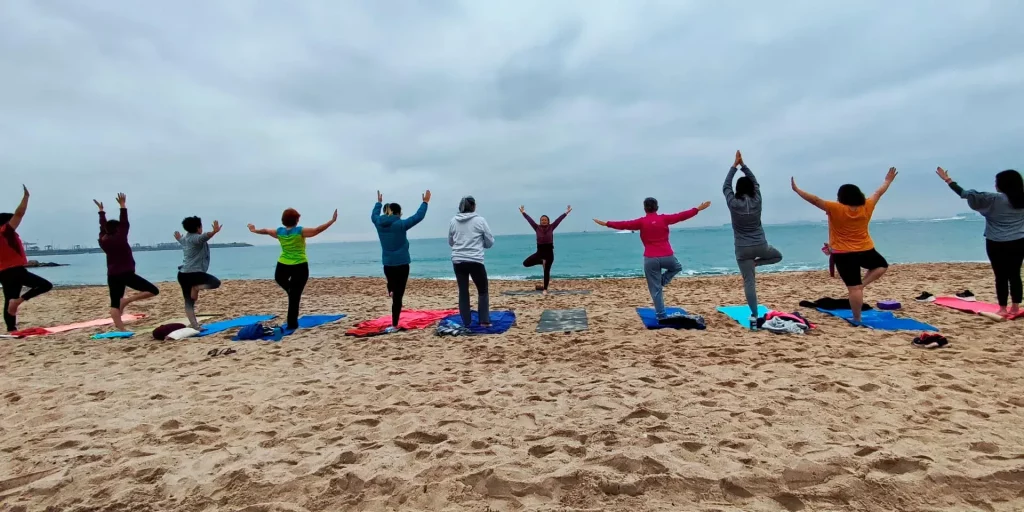 Comercio del mes Semillas de Yoga